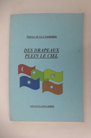 Image du vendeur pour DES DRAPEAUX PLEIN LE CIEL ce que nous raconte la vexillologie. mis en vente par Librairie du Levant