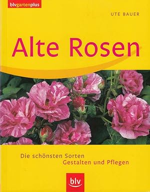 Immagine del venditore per Alte Rosen: Die schnsten Sorten Gestalten und Pflegen venduto da Die Buchgeister