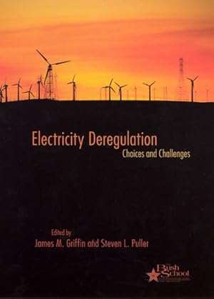 Immagine del venditore per Electricity Deregulation : Choices And Challenges venduto da GreatBookPrices