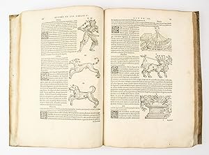 Opus Martiani. Capellae de Nuptiis Philologiae & Mercurii libri duo. De Grammatica. Liber. Tertiu...