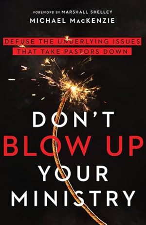 Immagine del venditore per Don't Blow Up Your Ministry : Defuse the Underlying Issues That Take Pastors Down venduto da GreatBookPrices