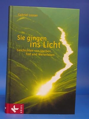 Seller image for Sie gingen ins Licht. - Geschichten von Sterben, Tod und Weiterleben. for sale by Buch- und Kunsthandlung Wilms Am Markt Wilms e.K.