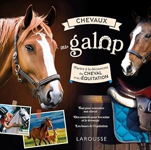 chevaux au galop : partez à la découverte du cheval et de l'équitation