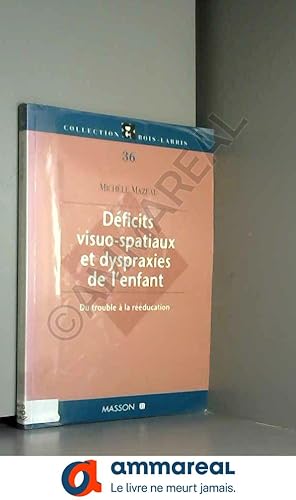 Image du vendeur pour Deficits visuo-spatiaux et dyspraxies de l'enfant mis en vente par Ammareal
