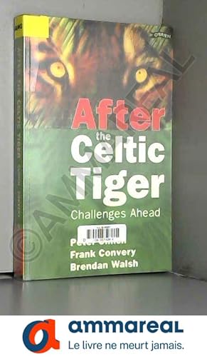 Imagen del vendedor de After the Celtic Tiger: Challenges Ahead a la venta por Ammareal