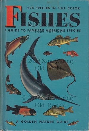 Imagen del vendedor de Fishes : a guide to familiar American species (a Golden nature guide) a la venta por Old Bookie