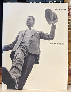 Immagine del venditore per Other Pictures venduto da Moe's Books