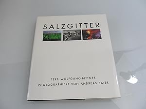 Salzgitter. Eine deutsche Geschichte