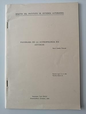Panorama de la antropología en Asturias [separata del nº 136 del Boletín del Instituto de Estudio...