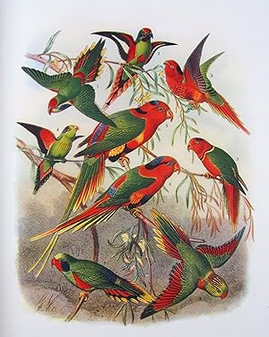 Vogelbilder aus fernen Zonen. Papageien. 2., von J. Steinbacher und H. von Boetticher neu bearb. ...