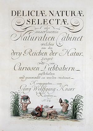 Deliciae naturae selectae, oder auserlesenes Naturalien-Cabinet. Fragment des Tafelbands mit 39 T...