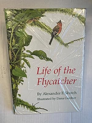 Seller image for Life of the Flycatcher. for sale by T. Brennan Bookseller (ABAA / ILAB)