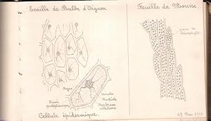 Cahier de dessins de Botanique