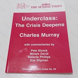 Immagine del venditore per Underclass : The Crisis Deepens (Choice in Welfare Series, No. 20) venduto da BookAddiction (ibooknet member)
