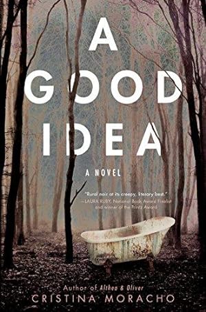 Seller image for A Good Idea for sale by WeBuyBooks