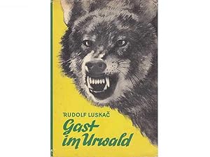 Gast im Urwald. Übersetzt aus dem Tschechischen von Rudolf Pabel