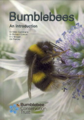 Bumblebees. An introduction