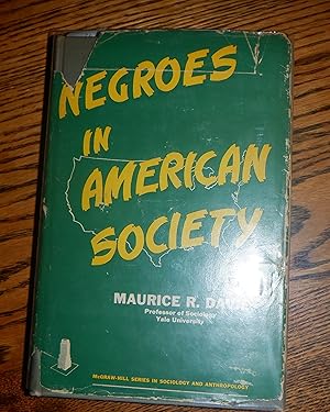 Negroes in American Society