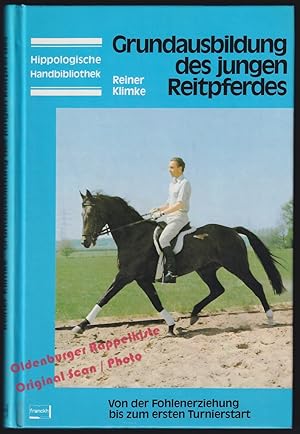 Grundausbildung des jungen Reitpferdes: Von der Fohlenerziehung bis zum ersten Turnierstart - Kli...