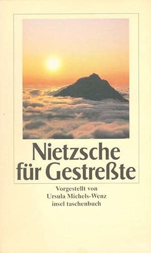 Nietzsche für Gestresste. Vorgestellt von Ursula Michels-Wenz / Insel-Taschenbuch ; 1928