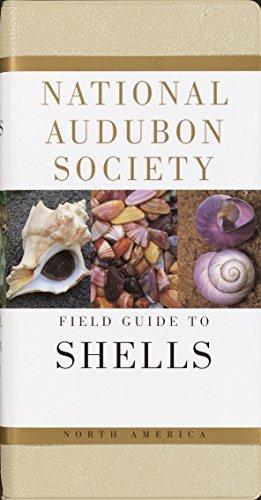 Image du vendeur pour The Audubon Society Field Guide to North American Seashells (The Audubon Society Field Guide Series) mis en vente par WeBuyBooks