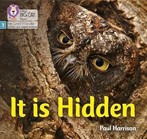 Image du vendeur pour It is Hidden (Paperback) mis en vente par AussieBookSeller