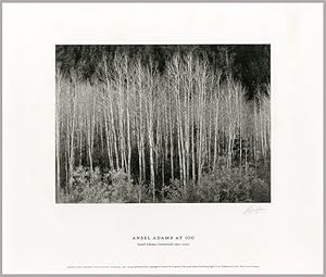 Seller image for ANSEL ADAMS AT 100 for sale by William Reese Company - Literature, ABAA