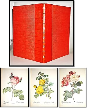 Bild des Verkufers fr [Botanical Art] Roses & Roses 2 [Two Volumes bound as One] zum Verkauf von Blind-Horse-Books (ABAA- FABA)