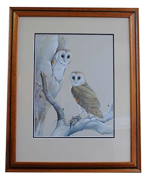 Imagen del vendedor de Barn Owls. a la venta por Andrew Isles Natural History Books