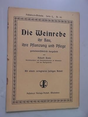 Weinrebe ihr Bau, ihre Pflanzung und Pflege Pestalozzi-Modelle Serie L Nr. 66