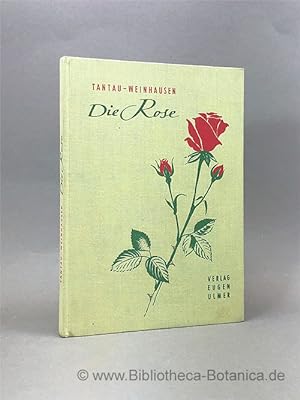Bild des Verkufers fr Die Rose, ihre Kultur und Verwendung. zum Verkauf von Bibliotheca Botanica