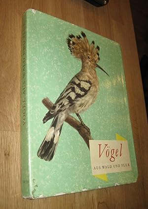 Seller image for Vgel aus Wald und Flur for sale by Dipl.-Inform. Gerd Suelmann