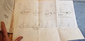 Bild des Verkufers fr Dissertation physique, sur les diffrences relles que prsentent les traits du visage chez les hommes de diffrents pays et de diffrents ges; sur le beau qui caractrise les statues antiques et les pierres graves. Suivie de la proposition d'une nouvelle mthode pour dessiner toutes sortes de ttes humaines avec la plus grande sret. Traduite du Hollandois par Denis Bernard Quatremre d'Isjonval. zum Verkauf von LIBRERIA XODO
