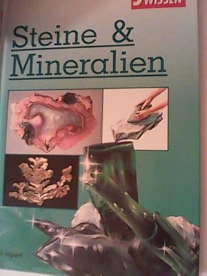 Immagine del venditore per Junior Wissen, Steine & Mineralien venduto da ANTIQUARIAT FRDEBUCH Inh.Michael Simon