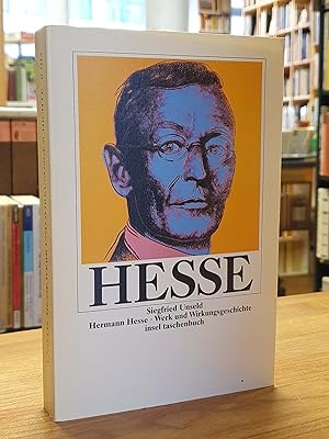 Imagen del vendedor de Hesse - Werk und Wirkungsgeschichte, a la venta por Antiquariat Orban & Streu GbR