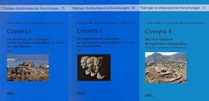 Cossyra I, Die Ergebnisse der Grabungen auf der Akropolis von Pantelleria, S. Teresa, der Sakralb...