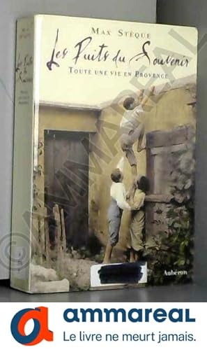Imagen del vendedor de Les puits du souvenir : Toute une vie en Provence a la venta por Ammareal