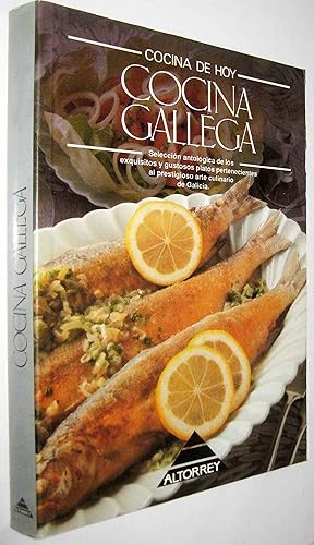 Seller image for COCINA DE HOY - COCINA GALLEGA - (S1) for sale by UNIO11 IMPORT S.L.