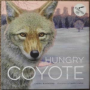 Hungry Coyote