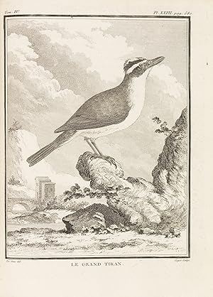 Image du vendeur pour Histoire naturelle des oiseaux. Bnde III-VIII (von 9) in 6 Bnden. mis en vente par Ketterer Kunst Hamburg GmbH