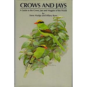 Image du vendeur pour Crows and Jays: A Guide to the Crows, Jays and Magpies of the World [HC] mis en vente par Buteo Books