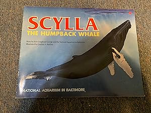 Seller image for SCYLLA THE HUMPBACK WHALE for sale by Betty Mittendorf /Tiffany Power BKSLINEN