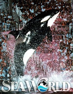 Immagine del venditore per Informationen �ber alle Sea World Parks venduto da Sch�ling Buchkurier