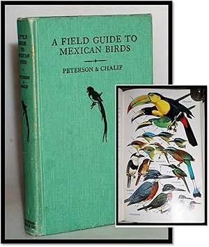 A Field Guide to Mexican Birds: Field marks of all species found in Mexico, Guatemala, Belize, El...