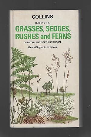 Seller image for Guide to the Grasses, Sedges, Rushes and Ferns of Britain and Northern Europe for sale by Calluna Books