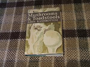 The New Naturalist - Mushrooms & Toadstools - A Study Of The Activities Of Fungi