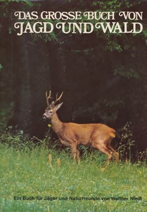 Seller image for Das grosse Buch vom Jagd und Wald. (Ein Buch fr Jger und Naturfreunde). for sale by ANTIQUARIAT ERDLEN