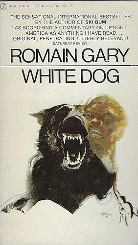 White Dog