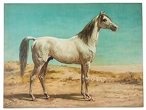 Seller image for Paardenrassen. Kunstalbum van een en veertig afbeeldingen naar schilderijen van Otto Eerelman. Met beschrijvingen door E.A.L. Quadekker.Zutphen, Schillemans & Van Belkum, [1898]. Large oblong folio (47 x 62 cm). With 41 chromo-lithographed plates of horses (45 x 59 cm) and several small lithographs at the end of each text. 12 parts in the original publisher's wrappers, preserved in the publisher's original richly gold-blocked brown decorated cloth portfolio. for sale by ASHER Rare Books