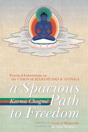 Imagen del vendedor de A Spacious Path to Freedom: Practical Instructions on the Union of Mahamudra and Atiyoga by Karma Chagme [Paperback ] a la venta por booksXpress